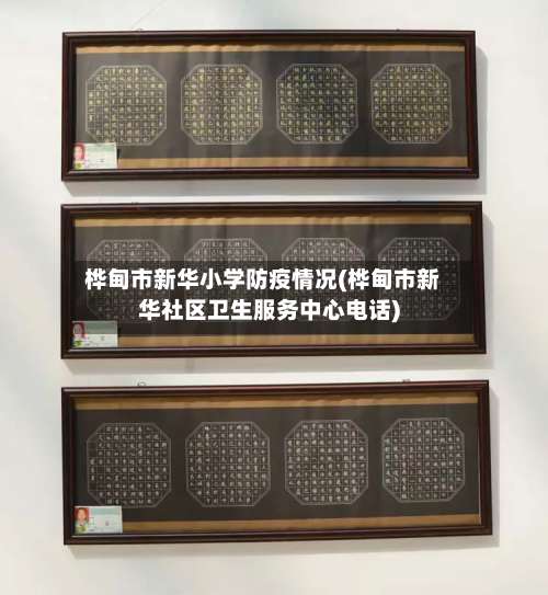 桦甸市新华小学防疫情况(桦甸市新华社区卫生服务中心电话)-第3张图片