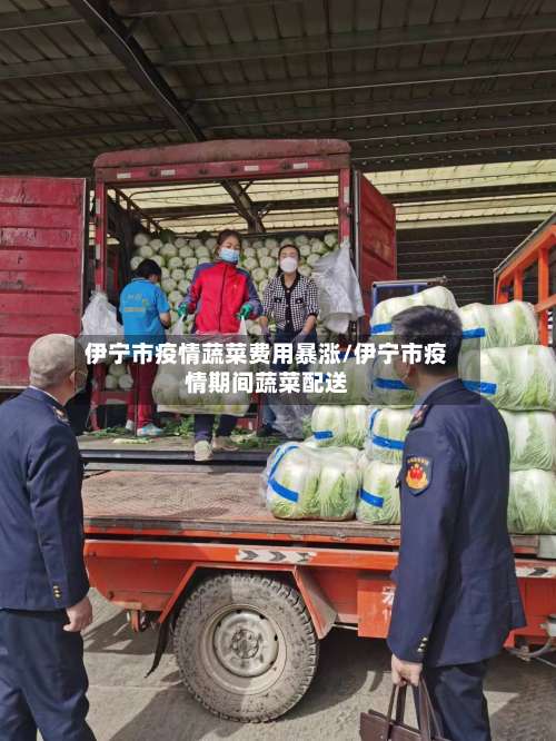 伊宁市疫情蔬菜费用暴涨/伊宁市疫情期间蔬菜配送-第2张图片