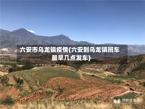 六安市乌龙镇疫情(六安到乌龙镇班车最早几点发车)-第3张图片