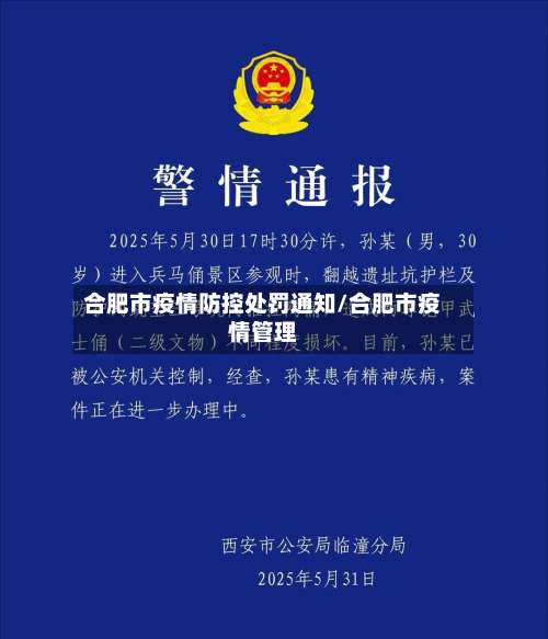 合肥市疫情防控处罚通知/合肥市疫情管理