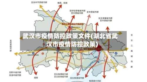 武汉市疫情防控政策文件(湖北省武汉市疫情防控政策)-第2张图片