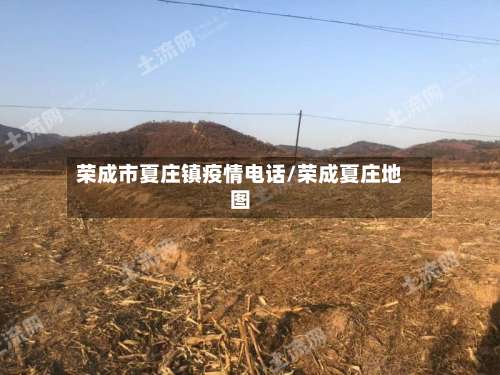 荣成市夏庄镇疫情电话/荣成夏庄地图-第2张图片