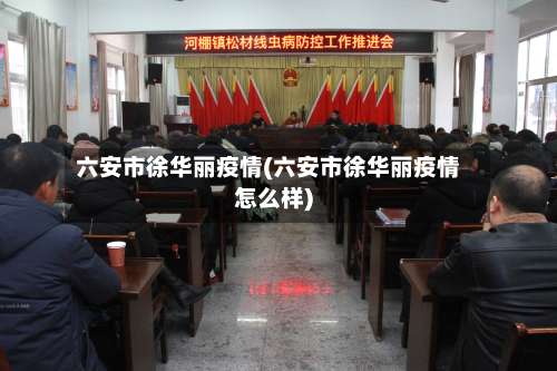 六安市徐华丽疫情(六安市徐华丽疫情怎么样)