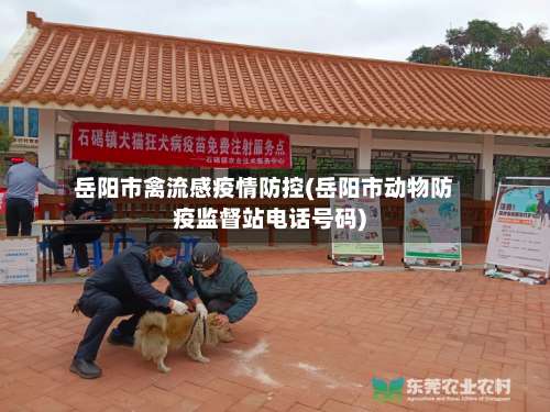 岳阳市禽流感疫情防控(岳阳市动物防疫监督站电话号码)