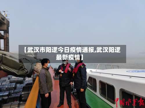 【武汉市阳逻今日疫情通报,武汉阳逻最新疫情】