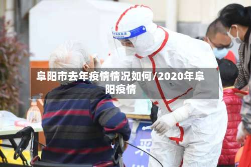 阜阳市去年疫情情况如何/2020年阜阳疫情-第2张图片