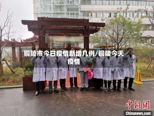 铜陵市今日疫情新增几例/铜陵今天疫情