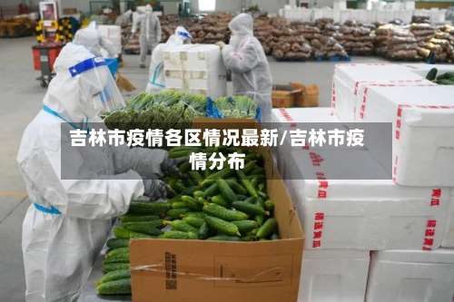 吉林市疫情各区情况最新/吉林市疫情分布