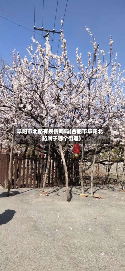 阜阳市北路有疫情吗吗(合肥市阜阳北路属于哪个街道)