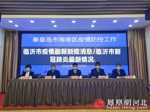 临沂市疫情最新新闻消息/临沂市新冠肺炎最新情况