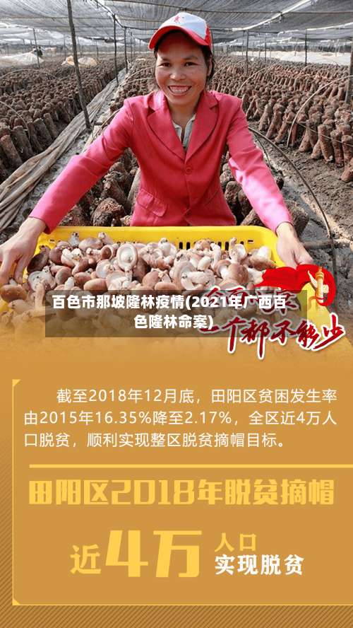 百色市那坡隆林疫情(2021年广西百色隆林命案)-第2张图片