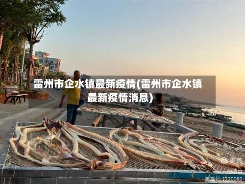 雷州市企水镇最新疫情(雷州市企水镇最新疫情消息)-第2张图片