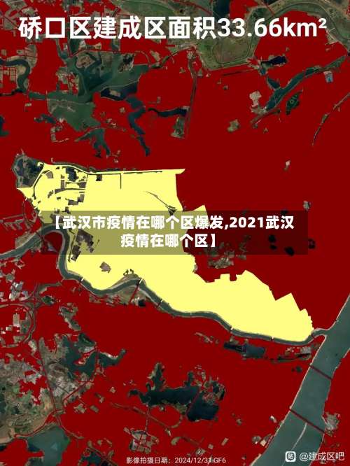 【武汉市疫情在哪个区爆发,2021武汉疫情在哪个区】