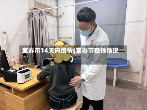 宜春市14天内疫情(宜春市疫情情况)