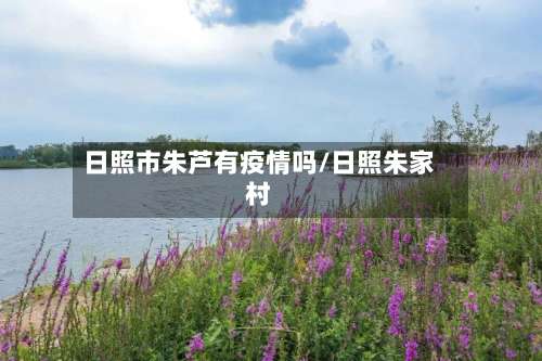 日照市朱芦有疫情吗/日照朱家村-第3张图片