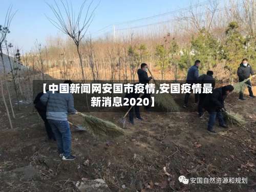 【中国新闻网安国市疫情,安国疫情最新消息2020】-第2张图片