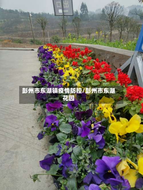 彭州市东湖镇疫情防控/彭州市东湖花园