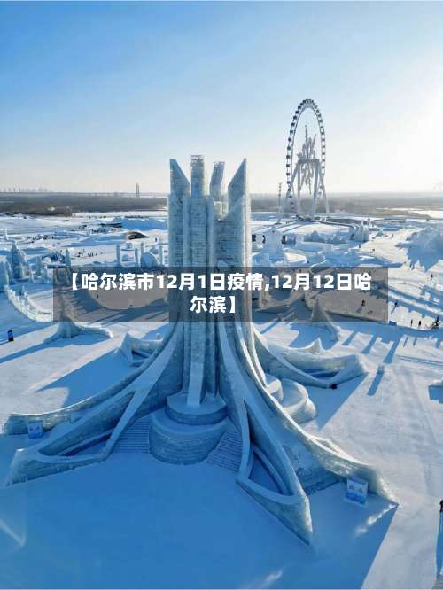 【哈尔滨市12月1日疫情,12月12日哈尔滨】-第2张图片