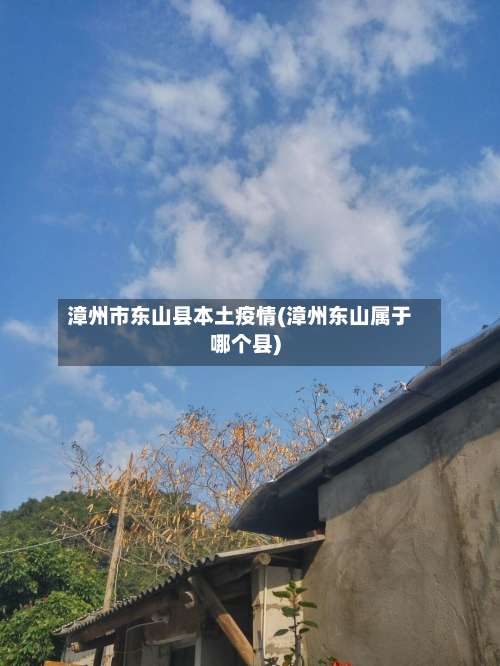 漳州市东山县本土疫情(漳州东山属于哪个县)