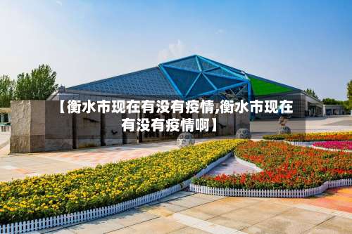 【衡水市现在有没有疫情,衡水市现在有没有疫情啊】-第2张图片