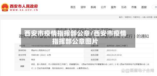 西安市疫情指挥部公章/西安市疫情指挥部公章图片