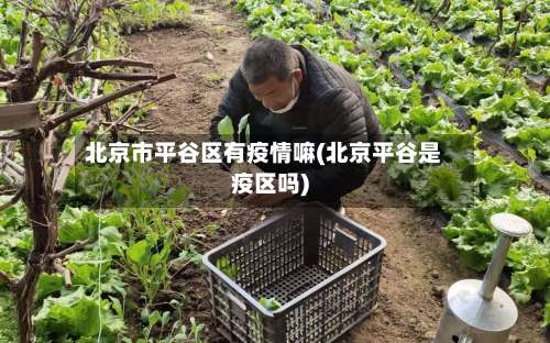 北京市平谷区有疫情嘛(北京平谷是疫区吗)