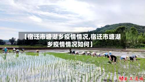 【宿迁市塘湖乡疫情情况,宿迁市塘湖乡疫情情况如何】-第3张图片