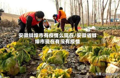 安徽蚌埠市有疫情么现在/安徽省蚌埠市现在有没有疫情-第2张图片