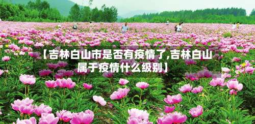 【吉林白山市是否有疫情了,吉林白山属于疫情什么级别】-第2张图片