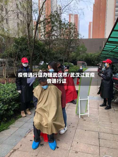 疫情通行证办理武汉市/武汉江夏疫情通行证-第2张图片