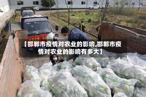 【邯郸市疫情对农业的影响,邯郸市疫情对农业的影响有多大】-第2张图片