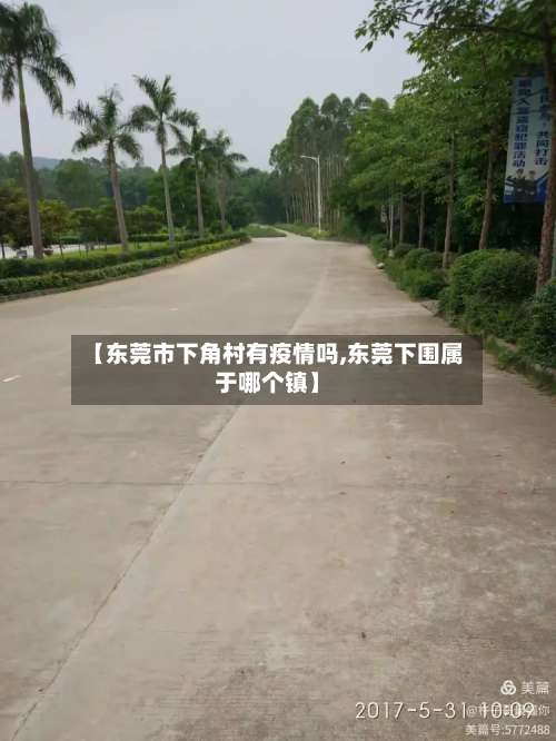 【东莞市下角村有疫情吗,东莞下围属于哪个镇】