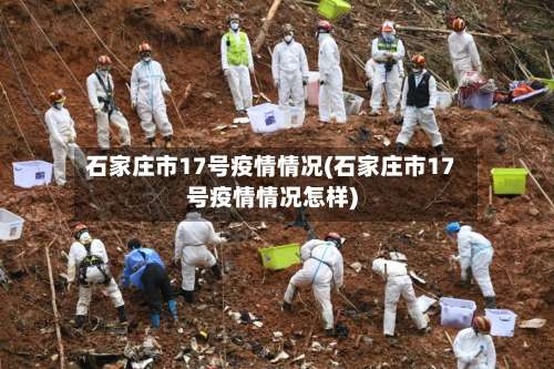 石家庄市17号疫情情况(石家庄市17号疫情情况怎样)