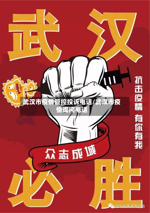 武汉市疫情管控投诉电话/武汉市疫情询问电话-第2张图片