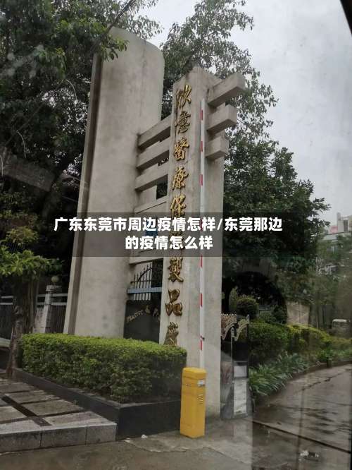 广东东莞市周边疫情怎样/东莞那边的疫情怎么样-第3张图片