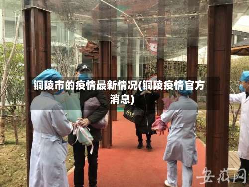 铜陵市的疫情最新情况(铜陵疫情官方消息)-第2张图片