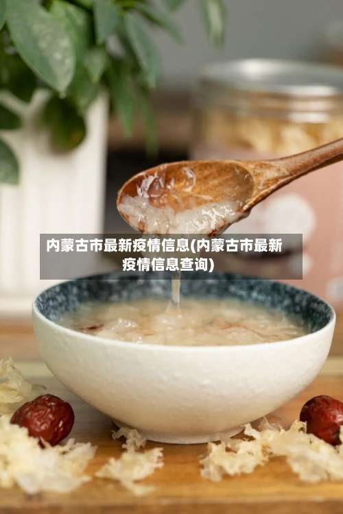 内蒙古市最新疫情信息(内蒙古市最新疫情信息查询)-第2张图片