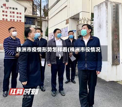 株洲市疫情形势怎样看(株洲市役情况)