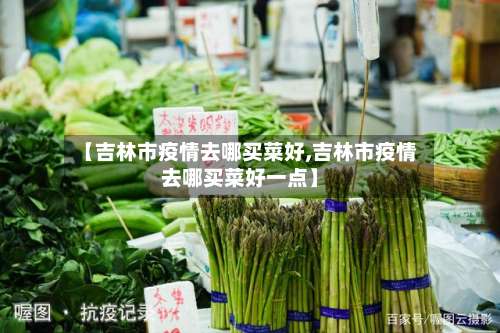 【吉林市疫情去哪买菜好,吉林市疫情去哪买菜好一点】-第2张图片