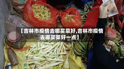 【吉林市疫情去哪买菜好,吉林市疫情去哪买菜好一点】