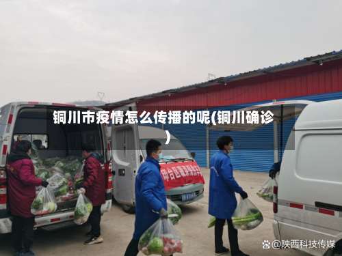 铜川市疫情怎么传播的呢(铜川确诊)-第2张图片