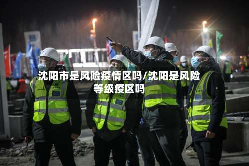 沈阳市是风险疫情区吗/沈阳是风险等级疫区吗