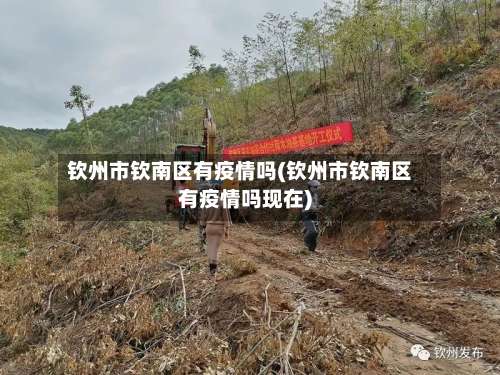 钦州市钦南区有疫情吗(钦州市钦南区有疫情吗现在)
