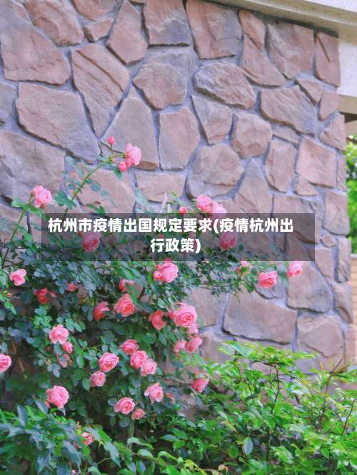 杭州市疫情出国规定要求(疫情杭州出行政策)