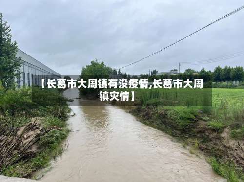 【长葛市大周镇有没疫情,长葛市大周镇灾情】