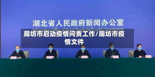 廊坊市启动疫情问责工作/廊坊市疫情文件