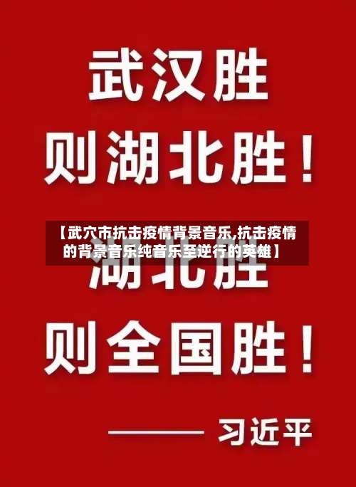 【武穴市抗击疫情背景音乐,抗击疫情的背景音乐纯音乐至逆行的英雄】