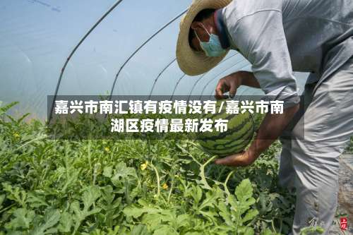 嘉兴市南汇镇有疫情没有/嘉兴市南湖区疫情最新发布