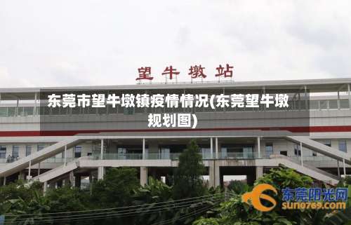 东莞市望牛墩镇疫情情况(东莞望牛墩规划图)-第2张图片