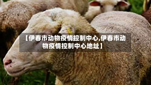【伊春市动物疫情控制中心,伊春市动物疫情控制中心地址】